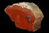 Brick Red, Polished Petrified Wood (Araucarioxylon) - Arizona #147910-1